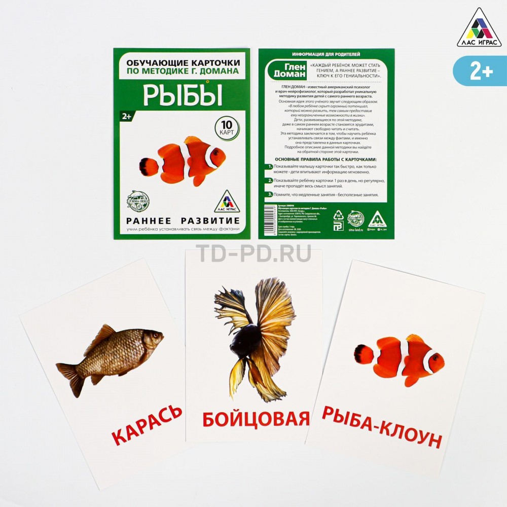 Обучающие карточки по методике Г. Домана «Рыбы», 10 карт, А9